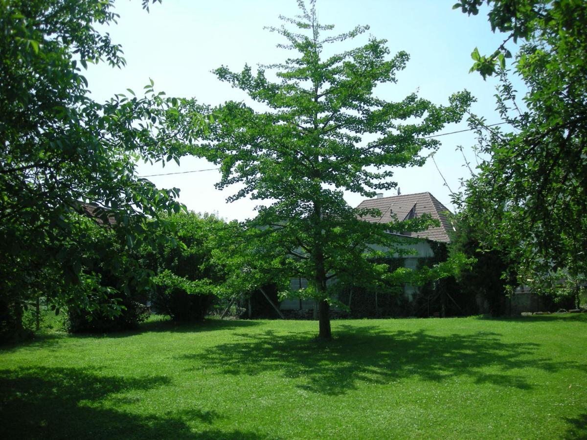 Chambre D'Hote Chez Lulu Saasenheim Εξωτερικό φωτογραφία